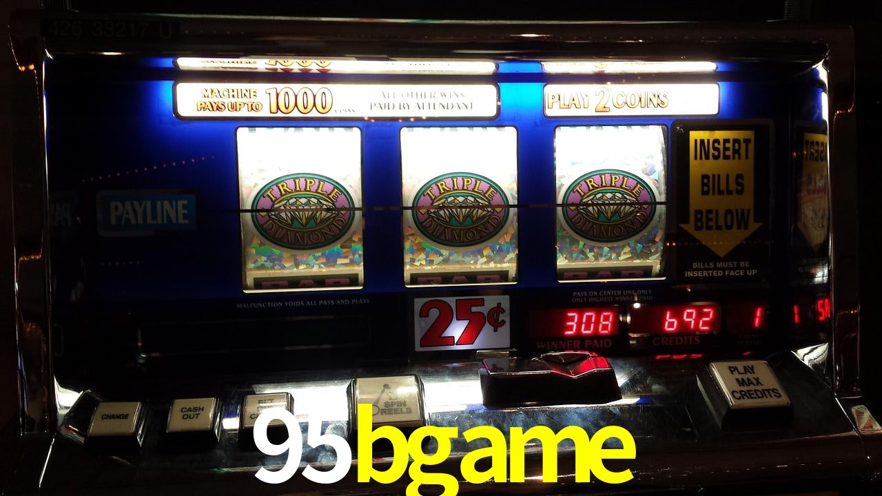 Experiência VIP 95bgame